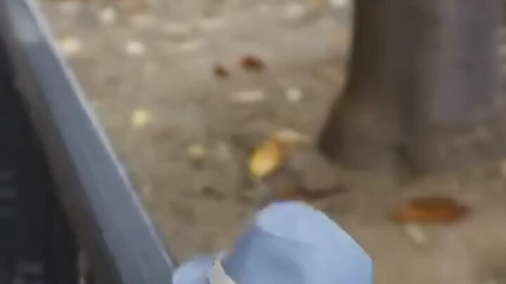 فنان المدينة