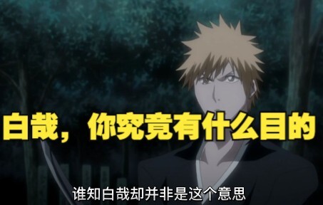 白哉，你究竟有什么目的