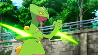 Siêu tổng hợp Team Pokemon tối thượng của Satoshi