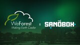 The Sandbox // WeForest - AMA