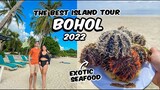 BOHOL 2022 THE BEST ISLAND HOPPING TOUR - Virgin Island's Exotic Seafoods and Pawikan Encounter