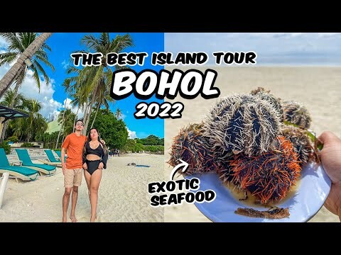 BOHOL 2022 THE BEST ISLAND HOPPING TOUR - Virgin Island's Exotic Seafoods and Pawikan Encounter