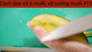 Cách làm vịt ủ muối , vịt nướng muối #12