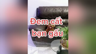 Trả lời  con có đem bạn gấu về nha cô chú ơi 🤣 HatDe TeamHatDe ThuCung 강아지 멍멍이 dogsofttiktok doglover dogtraining