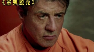 高智商顶级越狱高手史泰龙，看大师如何上演越狱！《金蝉脱壳》