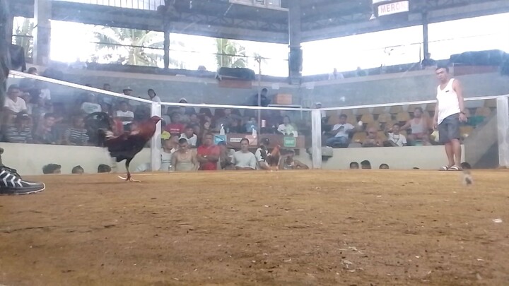 sanjose cockpit boss al super bulik