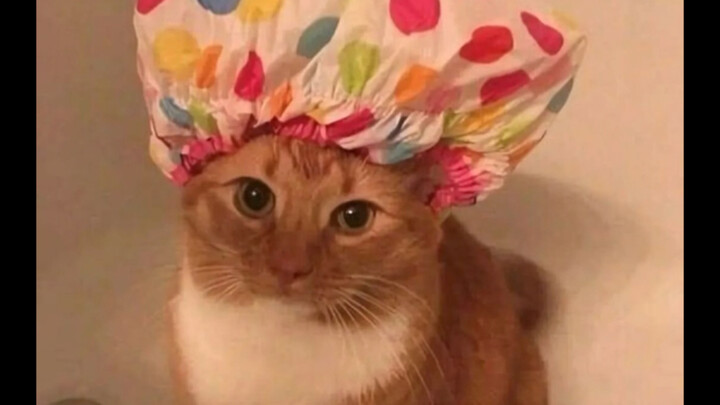 In the game, I found armor that my aunt wouldn’t like—but its stats are amazing.