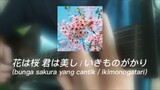 menyanyikan 花は桜 君は美し / bunga sakura yang cantik (ikimonogatari) cover