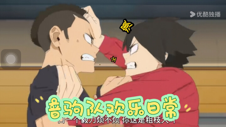 猫咪酱们的欢乐日常