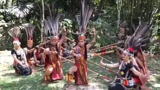 Philippines Traditional dance