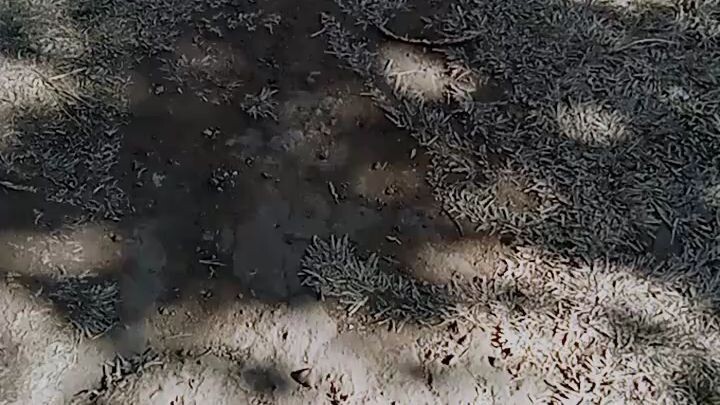 watch till end..