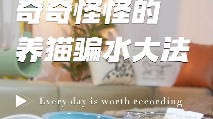 The wet cat food trick for getting cats to drink is awesome!