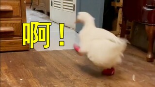 Thật ngột ngạt! Khi bạn có một người bạn mắc chứng rối loạn ám ảnh cưỡng chế...