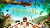 Minuscule EPISODE 1 The Valley Of The Lost Ants ANIMATED CARTOON (2013)