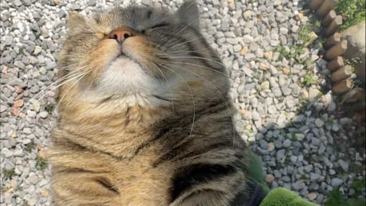 What day is it in my diet? My brother has lost weight, but I haven’t changed.