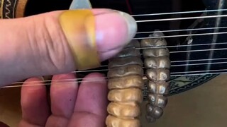 This is how a Brazilian ten-string guitar with a rattlesnake tail sounds when played.