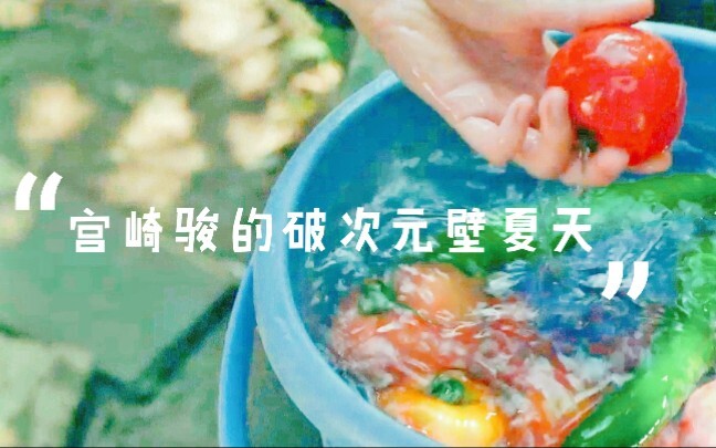 当宫崎骏的世界与小森林打破次元壁，给你一个奇幻夏天～