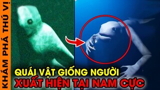 🔥 7 Bí Ẩn Quái Vật NINGEN Sinh Vật Bí Ẩn Giống Người Xuất Hiện Tại Nam Cực | KPTV