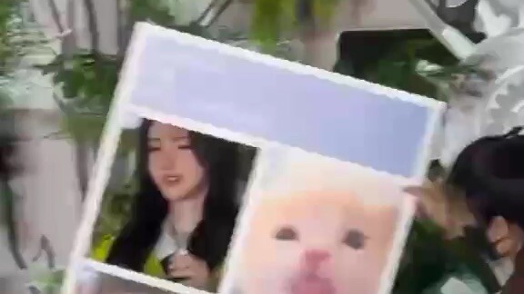 🥰🥰🥰🥰🥰🥰