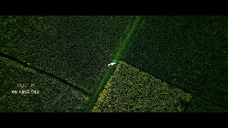 Ow Arakan, A Beautiful Rohingya Viral Song