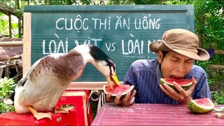 Cuộc Thi Ăn Đầy Bất Ngờ Giữa Loài Người Và Loài Vịt Siêu Nhây, Siêu Lầy