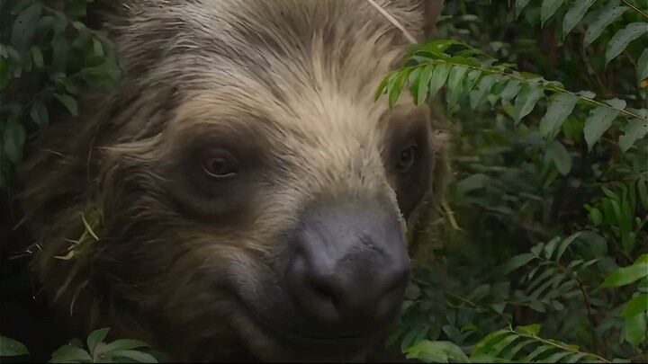 JUST ANOTHER DAY IN THE MEGAFAUNA!
