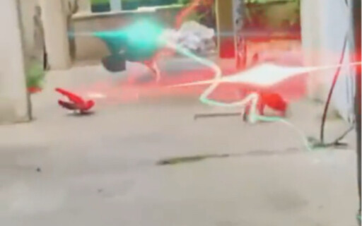 قوة قتال القطط الكونية