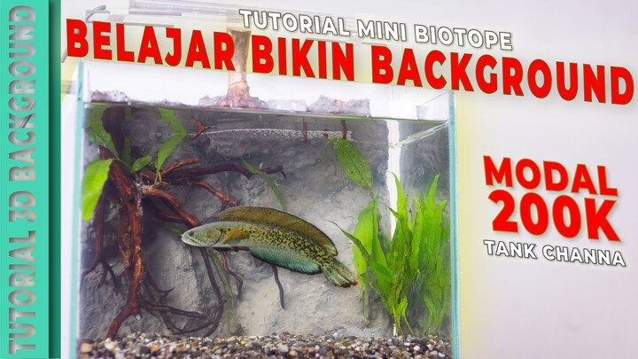 Tank CHANNA!! Tutorial 3D Background Mini Biotope