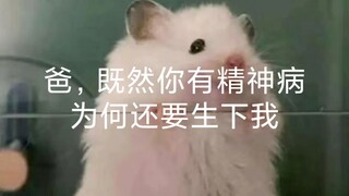 爸，既然你有精神病，为何还要生下我？