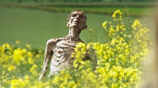 Phần tiếp theo của bộ phim kinh điển "28 Ngày Sau"! Bộ phim zombie năm 2025 "28 Ngày Sau" đã tung ra