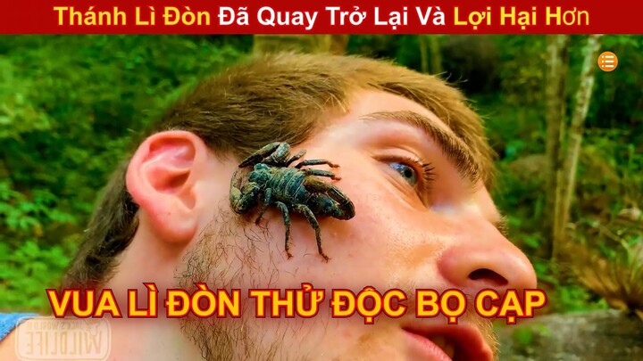 Vua Lì Đòn Đã Quay Trở Lại Và Thử Thách Để Bọ Cạp Cắn Lên Mặt  || Review Con Người Và Cuộc Sống