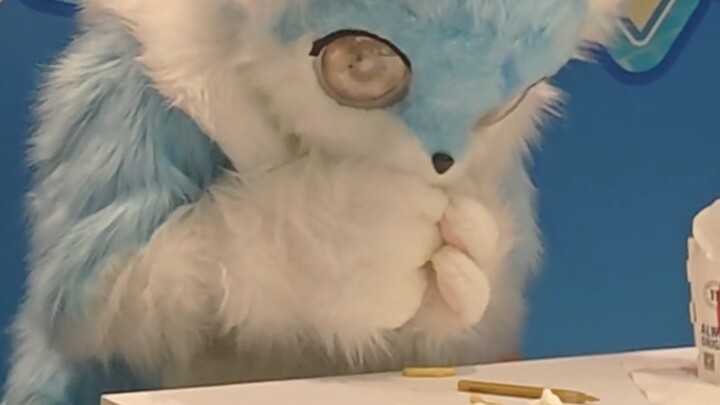 Precious footage of Evil Elsa feasting on poor E-shreds