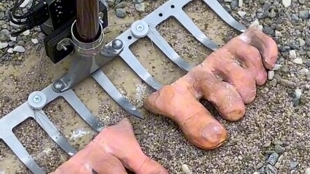 Finally, someone made a video of picking their toes!