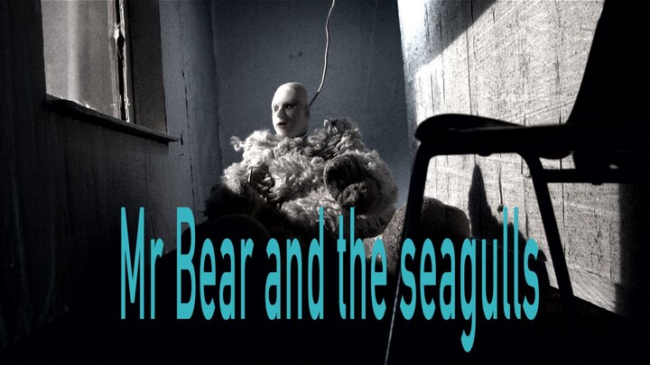 mr bear and the seagulls