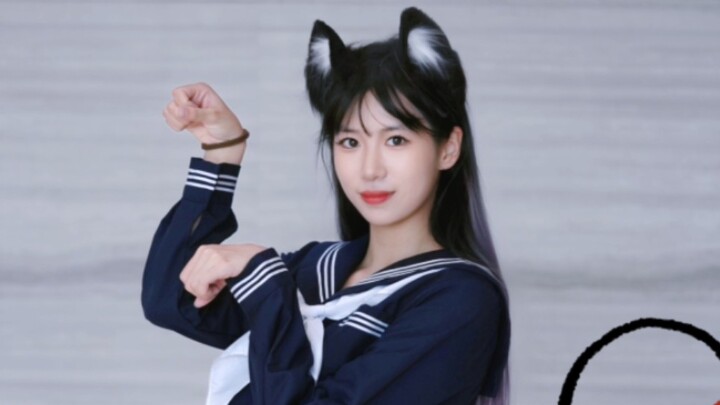 哪里借来的猫这么可爱❤️