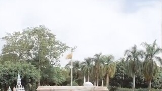 Một bộ sưu tập các sinh vật khổng lồ từ đất liền, biển cả và không khí