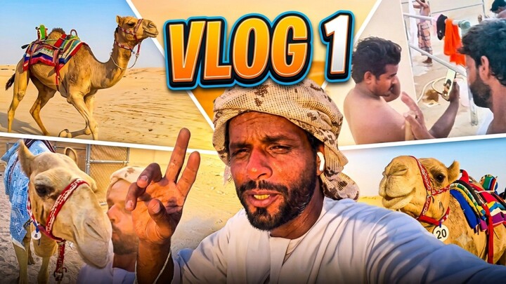 vlog 1 from qatar camel life