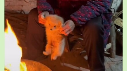 الجرو: هي فقط أحبَّتْني لفترة قصيرة.