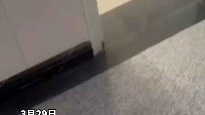 He’s allowed to smoke in the hospital—right in the cardiology and pulmonology ward! Even the hospita