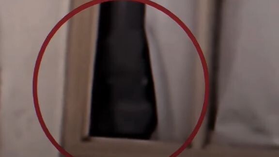 Apa itu  Seorang wanita tua bernama Vicki berada di rumah sendirian