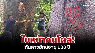 สุดแปลก! ต้นคางยักษ์อายุกว่า 100 ปี ใบหน้าคนโผล่ | อมรินทร์อัปเดต