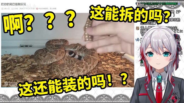 A naturally adorable Japanese girl who was so shocked by “Let Me Borrow Your Tail” that her brain li