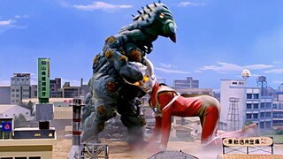 [Chất lượng trực tiếp 4k] Khoai môn vs Volcano Bird! Zoffie là người đẹp trai nhất để giải cứu!