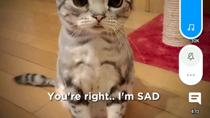 if you sad be like