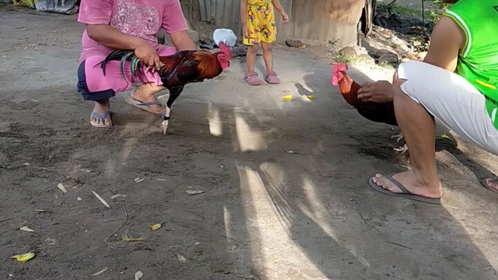 pwdi na ba ilaban
