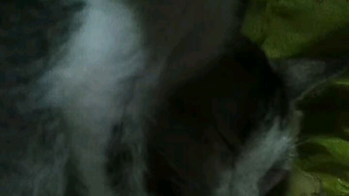 Reye ceye jaeue koe cetyr mos cer & coe  😘