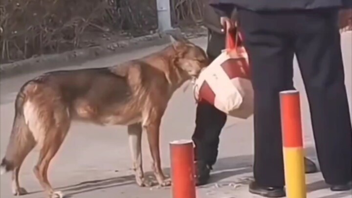 Let me try it first.