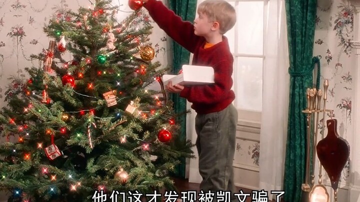 Bocah laki-laki 8 tahun menghadapi dua pencuri bodoh sendirian dengan kepintaran.