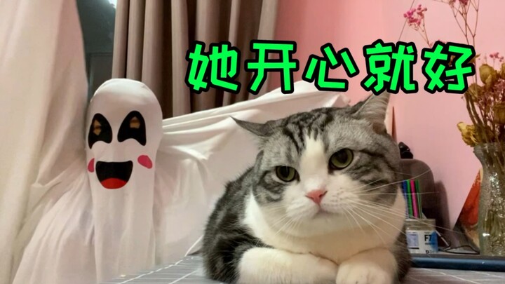 Membuat onar buat menakut-nakuti kucing? Kucing: Gue bingung banget nih..