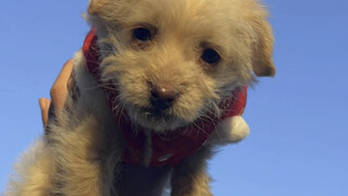 هذه الدقائق الخمس والنصف توثّق القصة التي تخصنا...